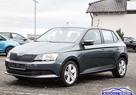 Skoda Fabia Cool Edition 1.0 Klima/Alu/PDC/BT/DAB
