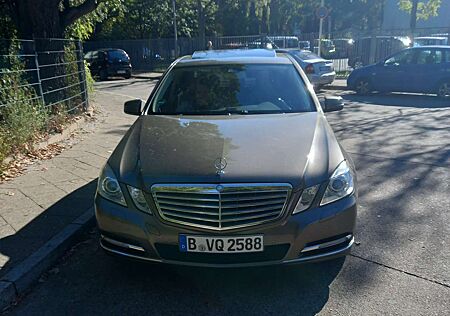 Mercedes-Benz E 250 CDI DPF 4Matic Blue EFFICIENCY Elegance