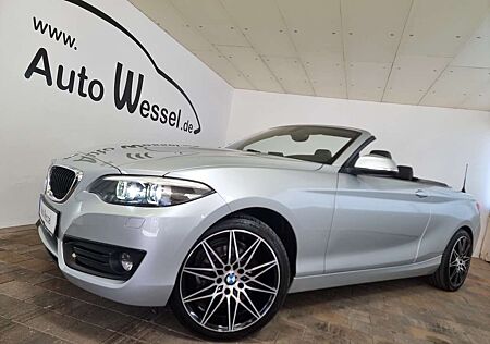 BMW 218 Advantage Cabrio LED Leder PDC Sportlenkrad