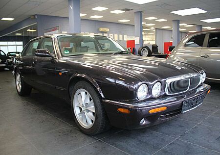 Jaguar XJ 8 Executiv - GASANLAGE -