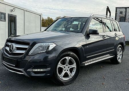 Mercedes-Benz GLK 250 CDI 4 MATIC AMG LINE /AUTOMATIK /KAMERA