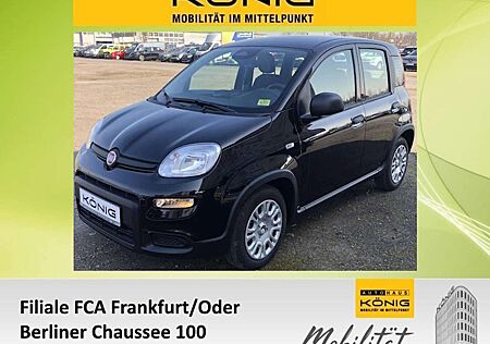 Fiat Panda MY24 1.0 Klima PDC Citypaket