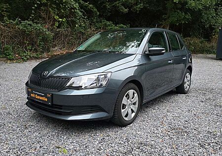 Skoda Fabia Active| Inspektion Neu