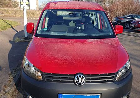 VW Caddy Volkswagen 1.6 TDI (5-Si.) DSG Soccer, Behindertenumbau