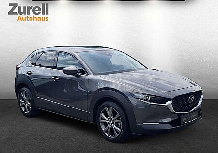 Mazda CX-30 Skyactiv-X 186 PS AT M Hybrid Sel. Des.-P Pre.-P