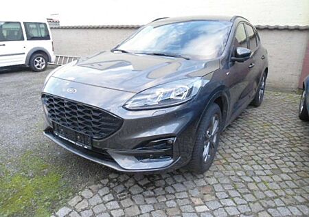 Ford Kuga 2.0 EcoBlue 4x4 Aut. ST-LINE X, AHZV, LED-Scheinw.