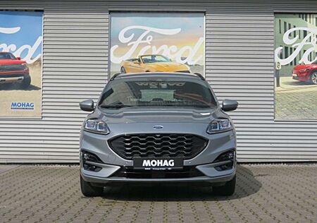 Ford Kuga ST-Line 2.0l EcoBlue *Navi-MSReifen-LED* -Euro
