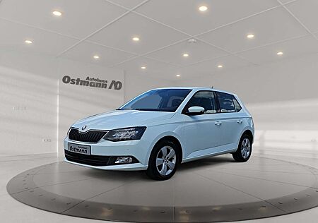 Skoda Fabia 1.2 TSI Greentec Style FLA KlimaA PDC