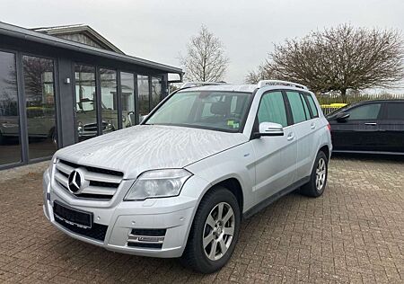 Mercedes-Benz GLK 220 CDI Autom BlueEfficiency Xenon Navi 1.Hd