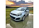 Kia Rio Edition 7