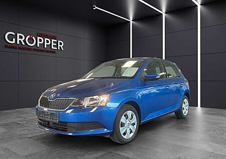 Skoda Fabia 1.0l MPI Ambition Green tec
