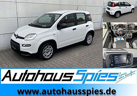 Fiat Panda 1.0 Mild Hybrid Base Klima DAB