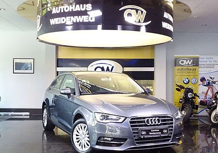 Audi A3 1.6 TDI Navi T-Leder Xenon PDC SHZ Cam 1Hand