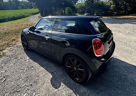Mini ONE OneBlackyard