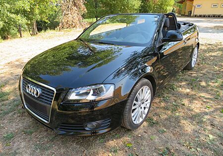 Audi A3 A3 1.6 Cabriolet Ambition, 102 PS, AHK, 108 tkm