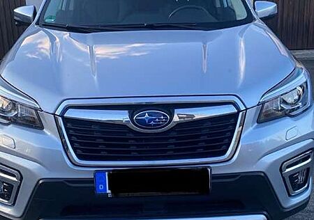 Subaru Forester 2.0ie Lineartronic Platinum
