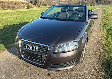Audi A3 Cabriolet Attraction erst 69.000km