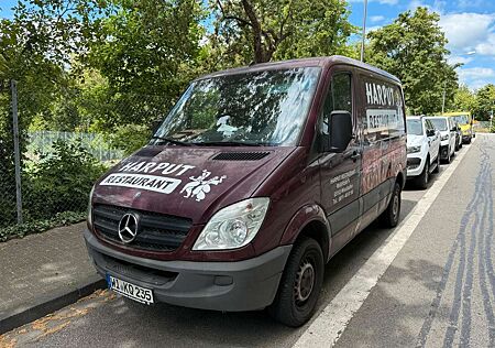 Mercedes-Benz Sprinter II Kasten 309/311/313/315 CDI