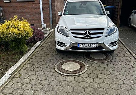 Mercedes-Benz GLK 220 CDI BlueEfficiency 4Matic (204.984)