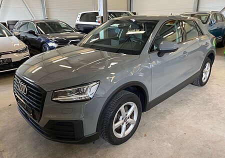 Audi Q2 30 TFSI GRA Leder Navi LED SHZ PDC VC