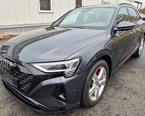 Audi Q8 e-tron CAM*Virtuall*Matrix*APP*Quattro