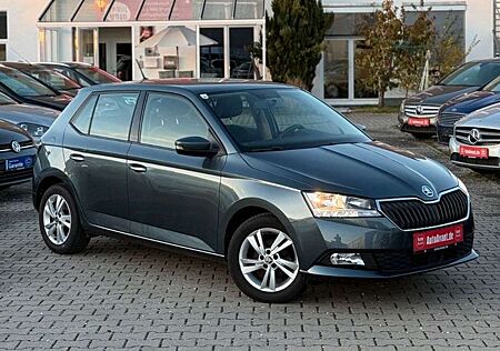 Skoda Fabia gebraucht kaufen Skoda Fabia 1.0TSI Ambition*8-FACH*WENIG KM*SHZ*GRA*BT