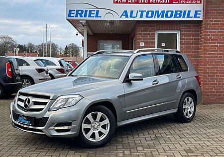 Mercedes-Benz GLK 220 CDI BlueEfficiency 4Matic AHK/L.S-HEFT