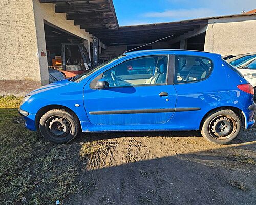 Peugeot 206 Petit Filou
