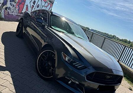 Ford Mustang 5.0 Ti-VCT V8 GT EU-Modell