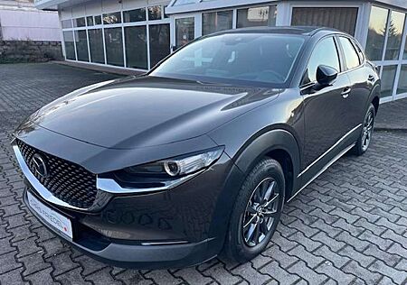 Mazda CX-30 L SKYACTIV-G H LED Navi AHZV Sitzhzg