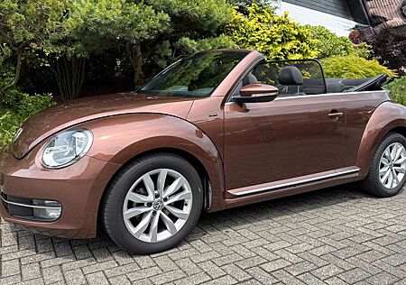 VW Beetle Volkswagen The Cabriolet 1.2 TSI DSG BlueMotion Techno