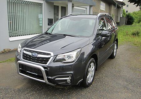 Subaru Forester Exclusive Automatik Rückfahrkamera Panoramadach