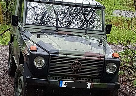 Mercedes-Benz Others WOLF 250 GD