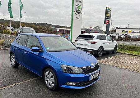 Skoda Fabia Joy/Sportfahrwerk/LichtundSichtPaket/Navi