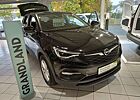 Opel Grandland X Edition+PP+LED+Winteralu