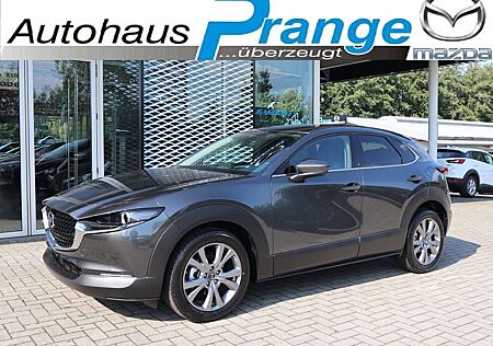 Mazda CX-30 2025 Takumi G-140 AT LEDER NAVI ACAA HUD SHZ BOSE