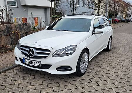 Mercedes-Benz E 250 T CDI DPF BlueEFFICIENCY Avantgarde