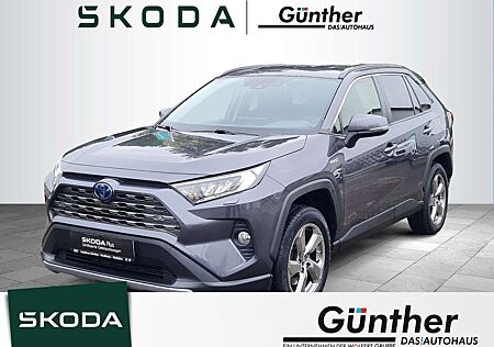 Toyota RAV 4 RAV4 2.5 Hybrid Team D 4x4 131 kW +NAVI+LED+ACC