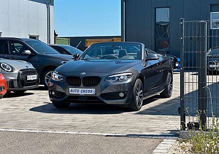BMW 220 i Cabrio Sport Line H/K*KAM*LED*
