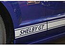 Shelby Mustang GT-H Shelby GT original CSM MY 2008