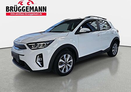 Kia Stonic 1.2 VISION MJ23 NAVI KLIMA LED DAB KAMERA L