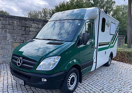 Mercedes-Benz Sprinter 516 CDI Aut.Wohnmobil Klima WC Webasto