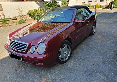 Mercedes-Benz CLK 320 CLK Cabrio 320 Elegance 1. Hand, 62.000km !!