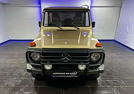 Mercedes-Benz G 300 DE-AUTO 79TKM AHK STNDHZG ALU