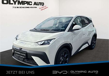 BYD DOLPHIN Surf Comfort 43kWh 360°KAMERA LED SITZHZ