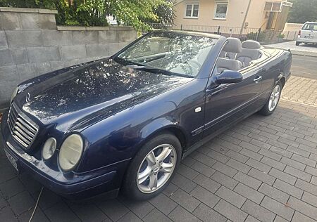 Mercedes-Benz CLK 230 Cabrio Kompressor Elegance