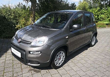 Fiat Panda 1.0 Hybrid (70PS) inkl. 7"-Radio, Handyspiegelung