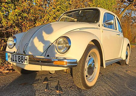 VW Käfer Volkswagen