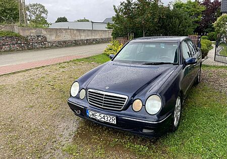 Mercedes-Benz E 320 gebraucht kaufen Mercedes-Benz E 320 CDI Avantgarde
