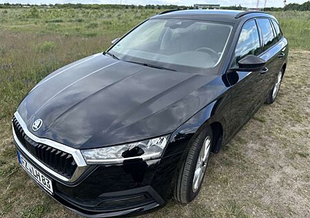 Skoda Octavia Ambient